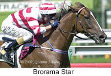 r4broramastar.jpg (11708 bytes)