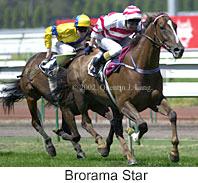 r4broramastar2.jpg (12123 bytes)