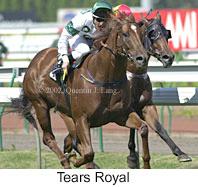 r5tearsroyal2.jpg (11181 bytes)