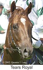 r5tearsroyal3.jpg (9793 bytes)