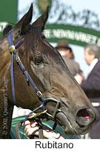 r6rubitano3.jpg (9342 bytes)