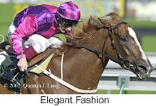 r8elegantfashion.jpg (10999 bytes)