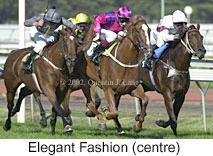 r8elegantfashion2.jpg (11849 bytes)