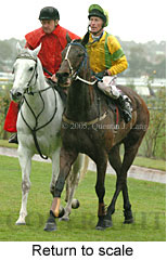 Return to scale (15361 bytes)