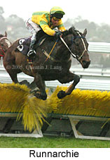 Runnarchie (14872 bytes)