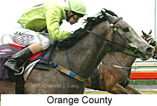 Orange County (14872 bytes)