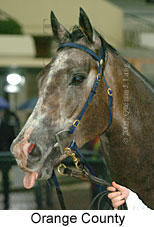 Orange County (14872 bytes)