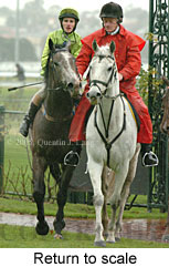 Return to scale (15361 bytes)