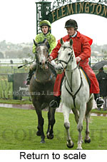 Return to scale (15361 bytes)