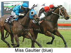 Miss Gaultier (14872 bytes)