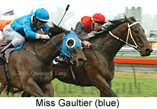 Miss Gaultier (14872 bytes)