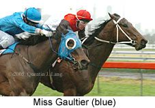 Miss Gaultier (14872 bytes)