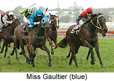 Miss Gaultier (14872 bytes)