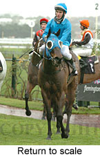 Return to scale (15361 bytes)