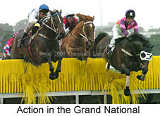 jumping action (11039 bytes)