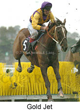 Gold Jet (11039 bytes)