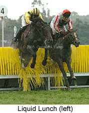 Liquid Lunch (18630 bytes)