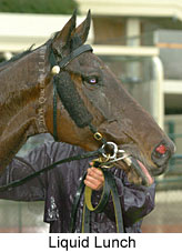 Liquid Lunch (14872 bytes)