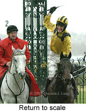 Return to scale (15361 bytes)