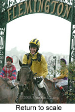 Return to scale (15361 bytes)