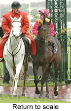 Return to scale (15361 bytes)