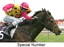 Special Number (14872 bytes)