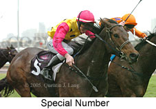 Special Number (14872 bytes)