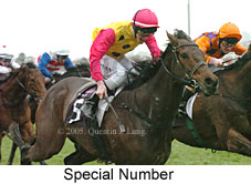 Special Number (14872 bytes)