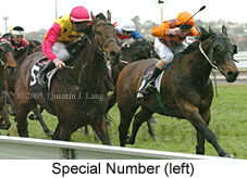 Special Number (14872 bytes)