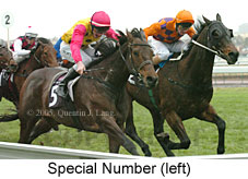 Special Number (14872 bytes)