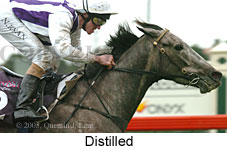 Distilled (14872 bytes)