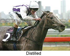 Distilled (14872 bytes)