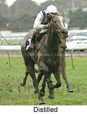 Distilled (14872 bytes)