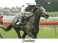 Distilled (14872 bytes)