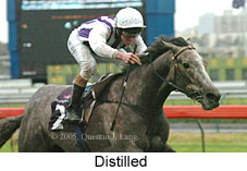 Distilled (14872 bytes)