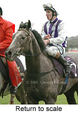 Return to scale (15361 bytes)