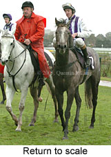 Return to scale (15361 bytes)