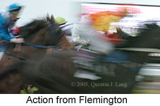 action (14872 bytes)