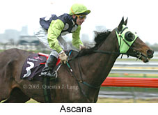 Ascana (14872 bytes)