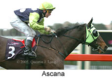 Ascana (14872 bytes)