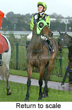 Return to scale (15361 bytes)