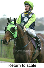 Return to scale (15361 bytes)