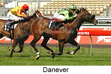 Danever (19327 bytes)