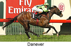 Danever (19327 bytes)