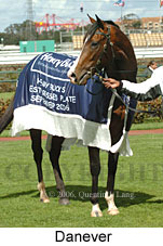 Danever (19327 bytes)