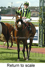 Return to scale (16096 bytes)