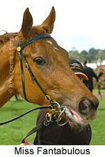 Miss Fantabulous (19327 bytes)