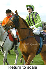 Return to scale (16096 bytes)