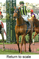 Return to scale (16096 bytes)