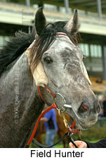 Field Hunter (19327 bytes)